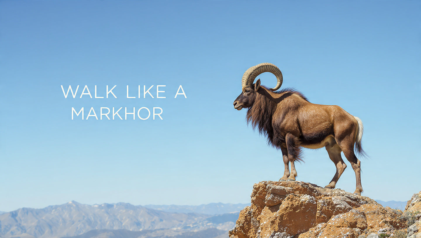 slider image slider_item_XbCgFQ